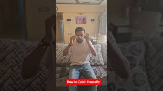 How to Catch Housefly houseflyjailermosquitomosquitoracketytshotscomedyshortsfunnyshortsyts [upl. by Heise]