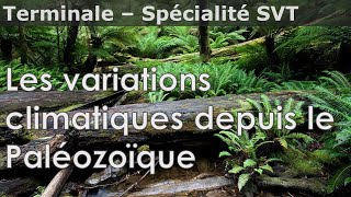 Variations du climat au Paléozoïque Mésozoïque et Cénozoïque  SVT  Terminale [upl. by Blader]