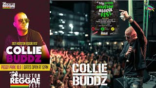 Collie Buddz Live  The Houston Reggae Festival 4K [upl. by Bronez]