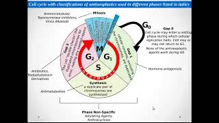 ANTI CANCER PHARMACOLOGY [upl. by Eniale595]