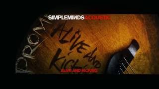 Simple Minds  Alive And Kicking Acoustic  Official Audio [upl. by Bindman369]