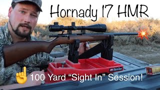 Hornady 17 HMR VMax Sight In at 100 Yards [upl. by Anola]