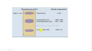 electroforesis lipoproteínas bioquímica [upl. by Yelad867]