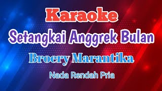 Karaoke Setangkai Anggrek Bulan  Broery Marantika Karaoke [upl. by Leonardo]