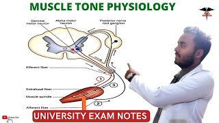 Muscle Tone  CNS Physiology [upl. by Jessa]