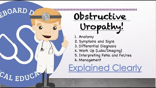 Obstructive Uropathy  Anatomy Symptoms Differential Diagnosis Work Up Management Prognosis [upl. by Okomom]