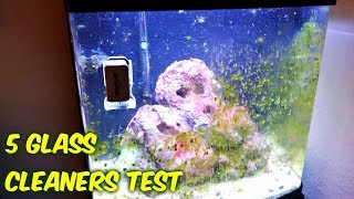 5 Aquarium Glass Cleaners Test [upl. by Dibri]