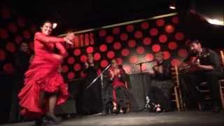 Amazing Flamenco Show in Los Tarantos Barcelona [upl. by Etolas]