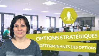 Les principales options stratégiques des entreprises  déterminants des options stratégiques [upl. by Harlie]