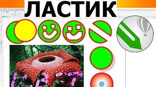 CorelDraw Инструмент ластик стерка 🔪 Стирание Tool Eraser Уроки Обучение Курс Дизайн lessons КОРЕЛ [upl. by Siblee]