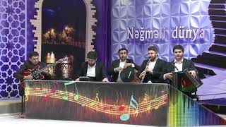 Nofel Suleymanov DTV Negmeli Dunya 30012020 [upl. by Aiset80]