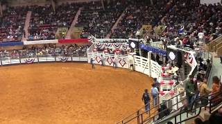 Best Of Mexico Celebration  Fort Worth Stock Show Rodeo 2018 [upl. by Bowers]