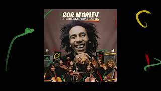 Top Rankin – Bob Marley and The Chineke Orchestra Visualizer [upl. by Croft760]