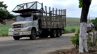 Carregamentos de cana pra usina2023 2024Caminhões no transportes canavieiro [upl. by Pages]