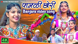 Pamani Chori banjara song  Banjara movie official song  Dilip Dayalu Jadhav KESULA music [upl. by Krasner774]