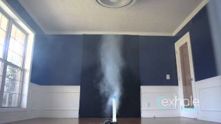 Exhale Bladeless Ceiling Fan—Full Scale Vortex Airflow Demonstration [upl. by Birchard]