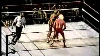 Ultimate Warrior vs Ric Flair [upl. by Trinetta]