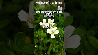 Health benefits of Brahmi naturalherbalproducts herbalmedicine gk herbalproducts naturalherbal [upl. by Hilel]