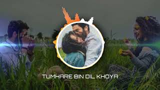 Tumhare Bin Mera Dil Khoya sa Lagata Hain Full AI SONG MusicWorldf4z musixcworld tumharebin [upl. by Mamie]