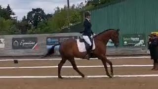 Prelim 18 BD dressage test with Cassie [upl. by Renie395]