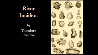 River Incident by Theodore Roethke [upl. by Ade176]