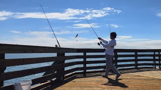 Croaker Day  Capitola Wharf [upl. by Fedora260]