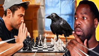 AS20 Reacts Mark Rober Video Testing the Worlds Smartest Crow [upl. by Ariada]