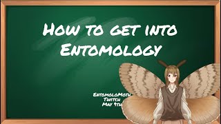 How to get into entomology A lecture about the hobby and the academic field [upl. by Nevai]