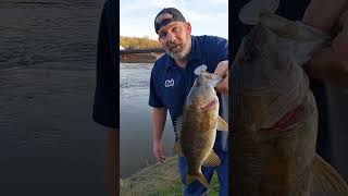 Whats better  Smallmouth Fishing in Allegheny Riverfishinglife shorts smallmouth [upl. by Yenal]