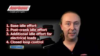 Adaptronic  Setting up Open Loop Idle Control [upl. by Niad]