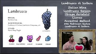 Lambrusco di Sorbara [upl. by Grane]