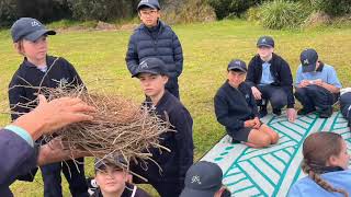 Year 4 Shorebirds Excursion to Kurnell [upl. by Grant]