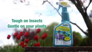 Safer® Brand Organic End ALL™ With Neem Oil Insect Killer [upl. by Katerine]