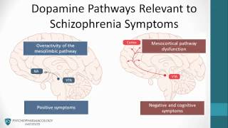 Psychopharmacology Antipsychotics amp The Dopamine Hypothesis [upl. by Dorcy747]