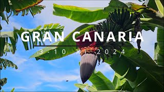 Gran Canaria 2024  by CzemuNie [upl. by Kyrstin]