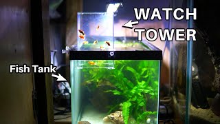 I Gave My Fish A Watch Tower [upl. by Asiulairam]