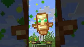 testei usar o kill com totem da imortalidade no minecraft [upl. by Adnoval950]