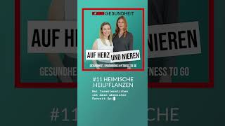 Auf Herz und Nieren – 11 Heimische Heilpflanzen [upl. by Carson985]