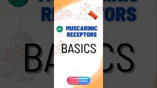 Muscarinic Receptors Basic Function [upl. by Llehsyt]