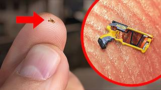 World’s Smallest Nerf Gun Shoots an Ant [upl. by Lorrimer]