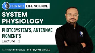 Photosystems Antennae Pigments  System Physiology  CSIR NET Life Science Exam 2023 [upl. by Nulubez]