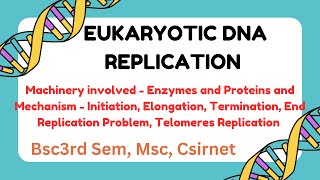 DNA Replication in Eukaryotes Mechanism and Machinery Csirnet Gate IIT JAM CUET PG [upl. by Burgess]