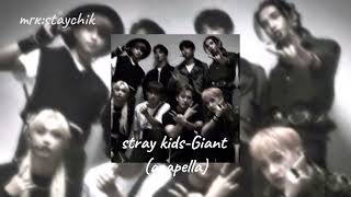 stray kidsGiant acapellaskz скз strаykids kpop стрейкидс stay giant [upl. by Anerdna]