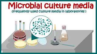 Bacterial culture media classification and types of bacterial media  enriched amp differential media [upl. by Gerstner]