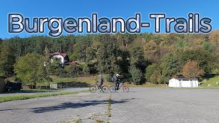 BurgenlandTrails  DJI Neo MTB test [upl. by Allit]