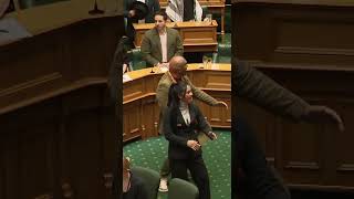 TEAM MAORI ALL DAY LONG  NEW ZEALAND PARLIAMENT [upl. by Maccarone]