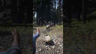 p679 Simulate great survival skills  shorts [upl. by Nav859]