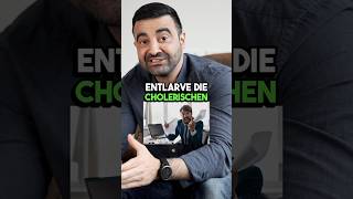 Choleriker entlarven karriere projektmanagement führung kommunikation [upl. by Nnylaf]