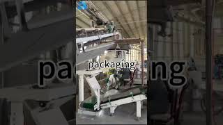 soda feldspar production process and packagingceramicsrefractoryglassescoatingpaintingplastic [upl. by Noseimaj422]