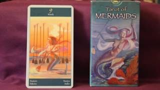 Tarot of Mermaids Full Flip Through [upl. by Akinoj]